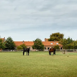 Het Zwaluwnest Hébergement de vacances